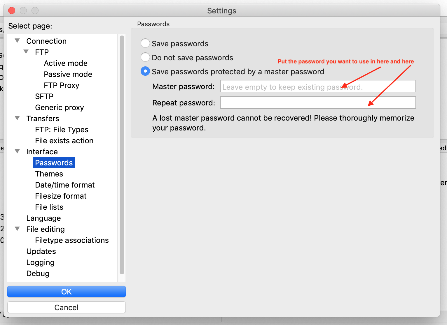 Setting FileZilla's master password