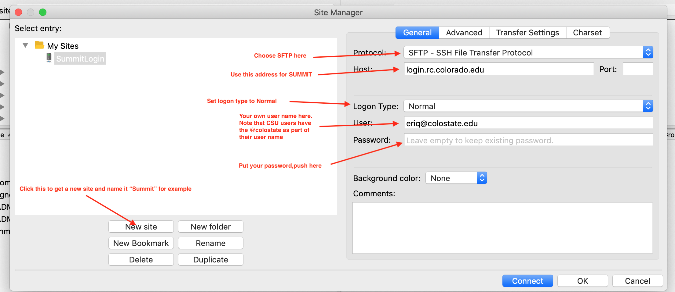 Setting FileZilla's master password